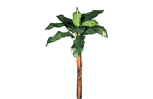 Accessories banana palms Large