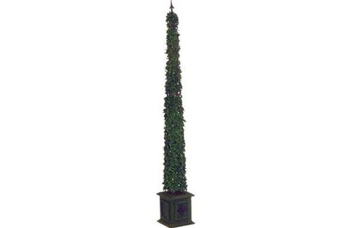 Basil Cone Topiary, Medium