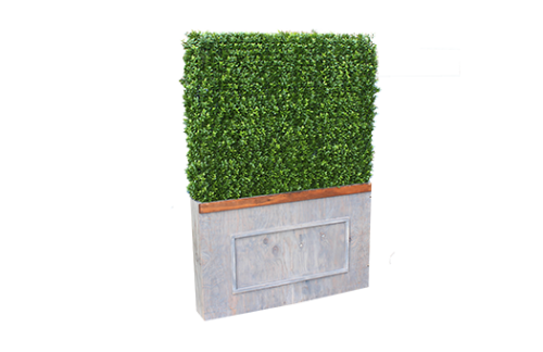 Boxwood Hedge w/ Weather Wood Planter Box
