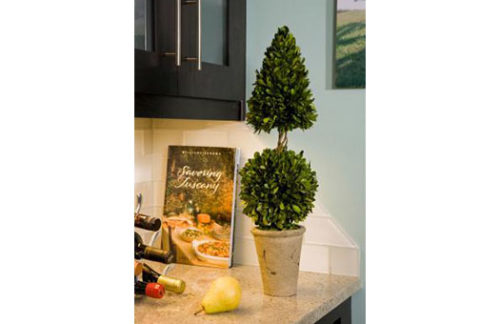 24" Ball & Cone Topiary, Preserved Boxwood