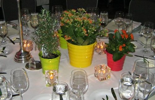 Herbs and Kalanchoe in Colored Tin Pots