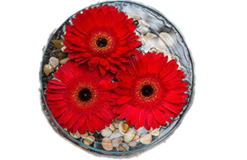 10" Floating Bowl Centerpiece