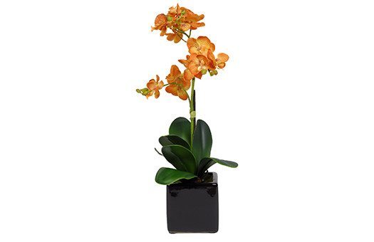 Centerpieces silk orchid orange float Large