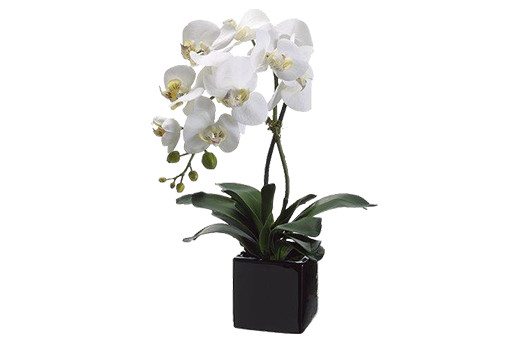 Centerpieces silk orchid white Large