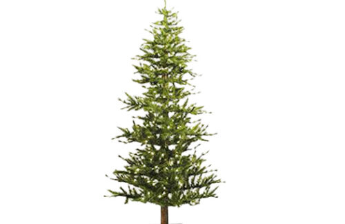 Minnesota Pine Tree 5'