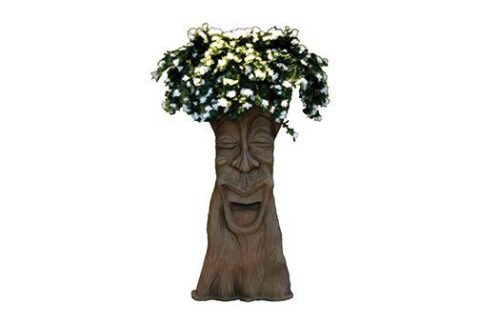 Smiling Enchanted Tree