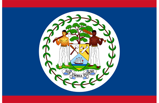 Flag Belize Event decor