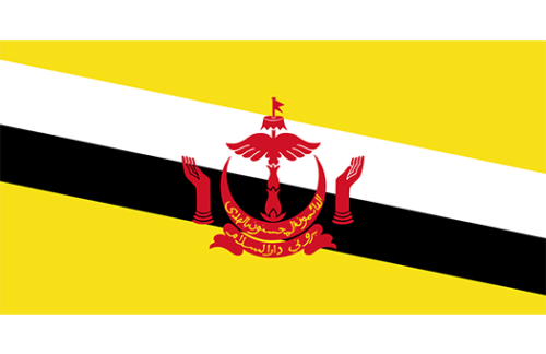 Brunei 3x5 Nylon