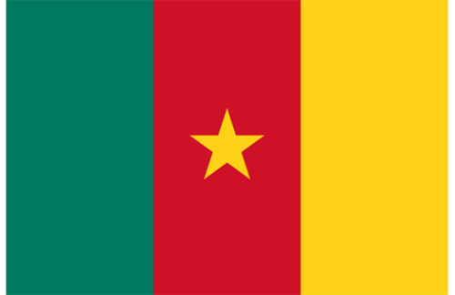 Cameroon 3x5 Nylon