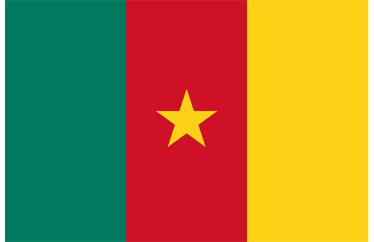 Flag Cameroon Event decor