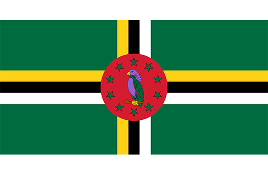 Flag Dominica Event decor