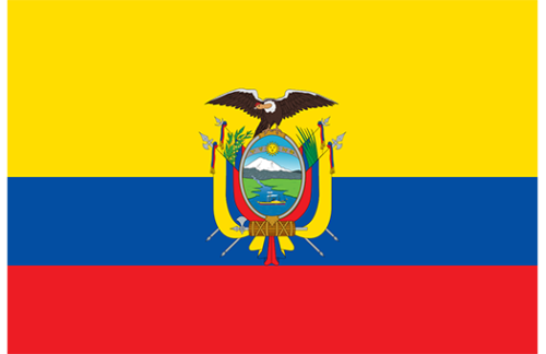 Ecuador Gov't 3x5 Nylon