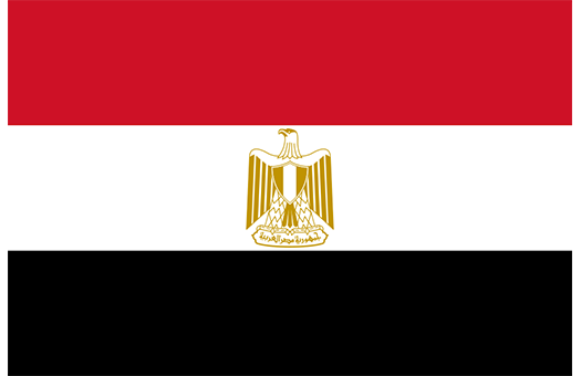 Flag Egypt Event decor