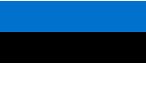 Estonia 3x5 Nylon