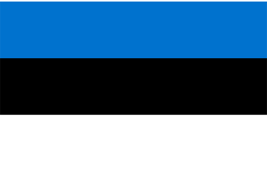 Flag Estonia Event decor