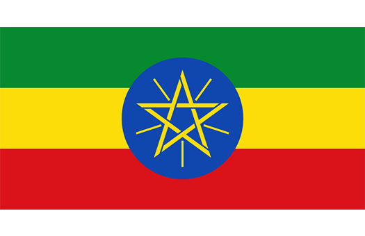 Flag Ethiopia Event decor