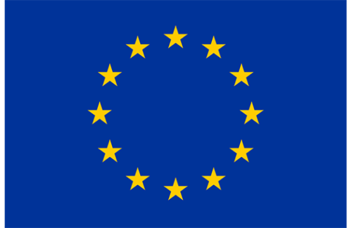 European Union 3x5 Nylon