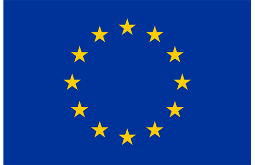 Flag European Union Event decor