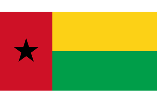 Guinea Bissau 3x5 Nylon