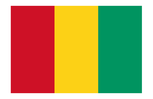 Guinea 3x5 Nylon