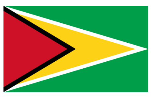 Guyana 3x5 Nylon