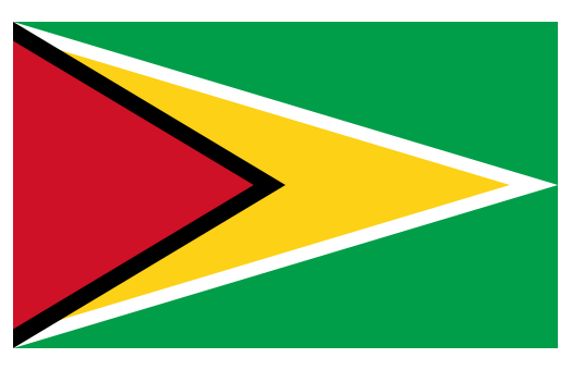 Flag Guyana Event decor