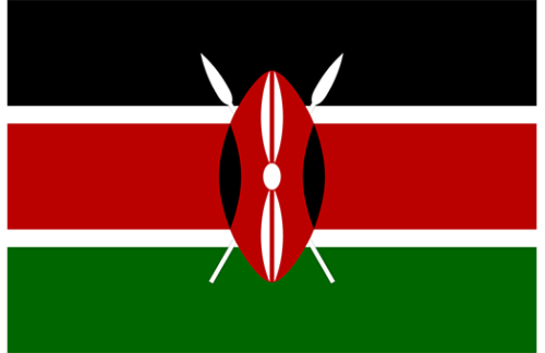 Kenya 3x5' Nylon