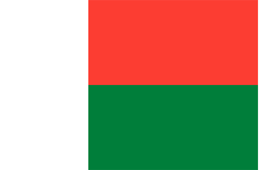 Flag Madagascar Event decor