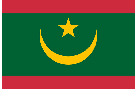 Flag Mauritania Event decor