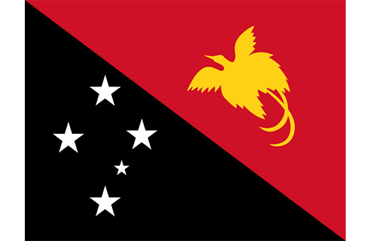 Flag Papua New Guinea Event decor