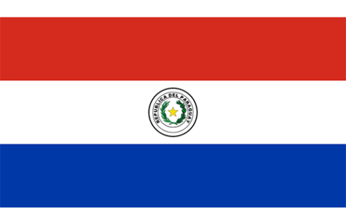 Paraguay 3x5 Nylon