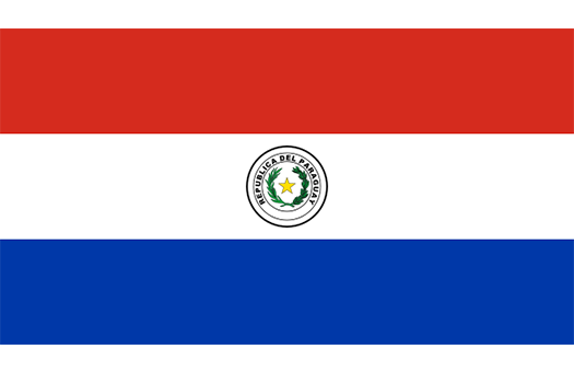 Flag Paraguay Event decor