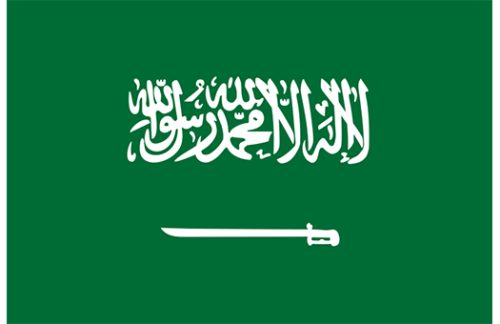 Saudi Arabia 3x5 Nylon