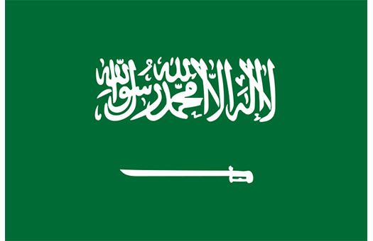 Flag Saudi Arabia Event decor