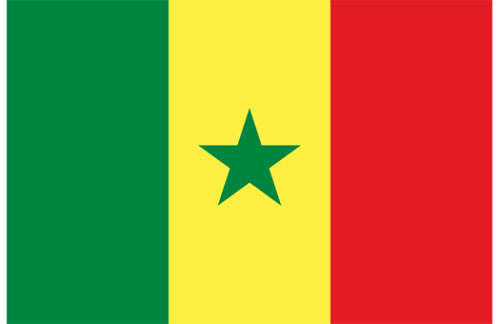 Senegal 3x5 Nylon