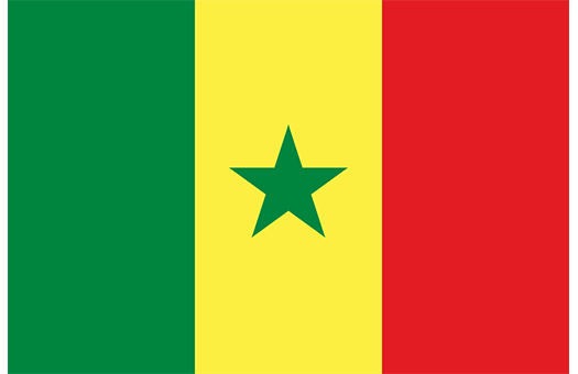 Flag Senegal Event decor