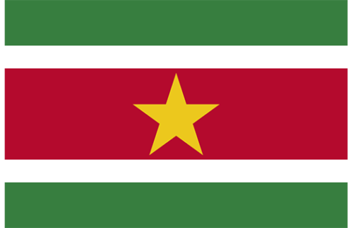 Suriname 3x5 Nylon