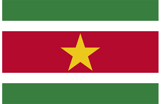 Flag Suriname Event decor
