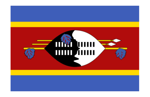 Swaziland 3x5 Nylon