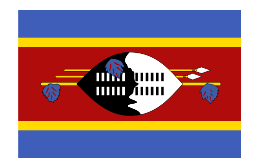Flag Swaziland Event decor