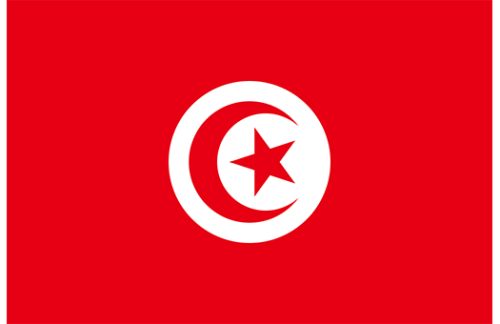 Tunisia 3x5 Nylon