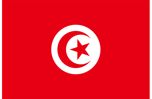 Flag Tunisia Event decor