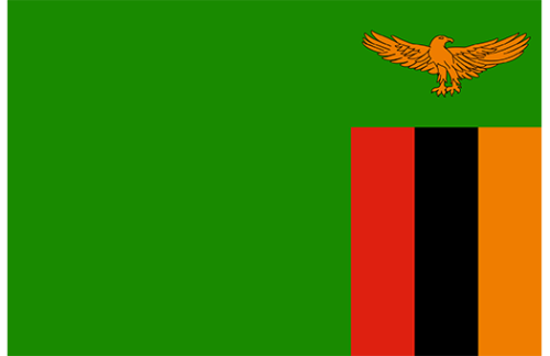 Zambia 3x5 Nylon