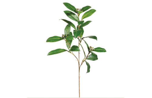 Laurel Spray Silk, 27"
