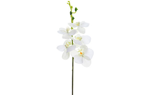 White Orchid Stem, 14"