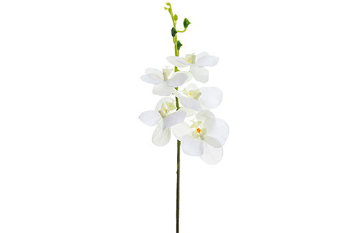 Floral Stem Orchid white FFKO706 WH 10750 Large
