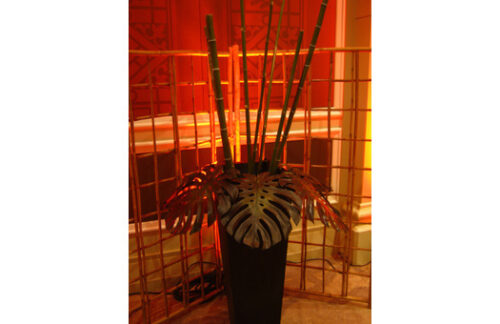 Monstera Frond Case