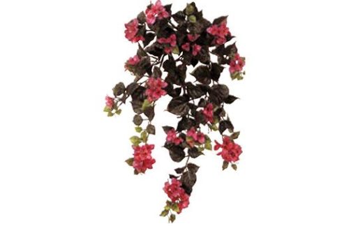 Bouganvilla Vine Cluster, Pink (Tote)
