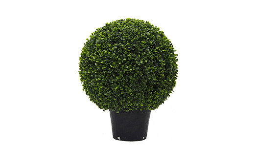 Foliage Boxwood Ball In Pot 20 10153 large