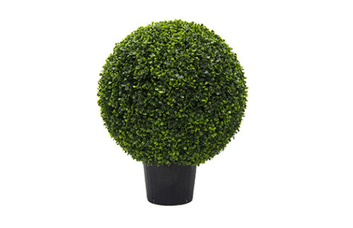 Boxwood Ball In Pot, 24"